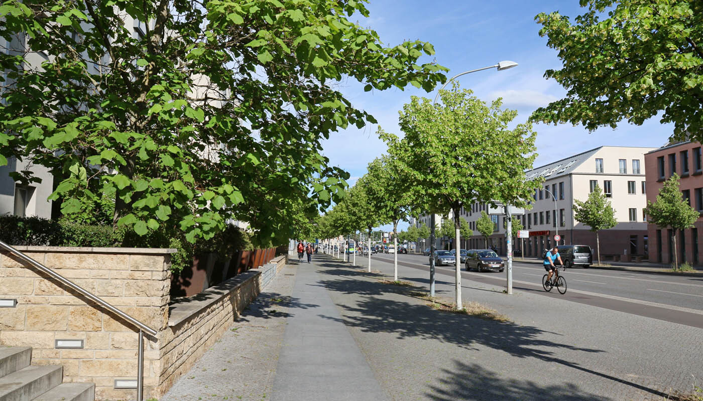 Foto: Blick entlang des, mit jungen Bäumen begrünten, Fußgängerwegs an der Breiten Straße.